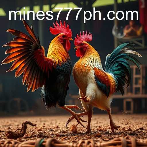 The Digital Evolution of Online Sabong at Mines777.COM